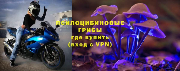 PSILOCYBIN Володарск